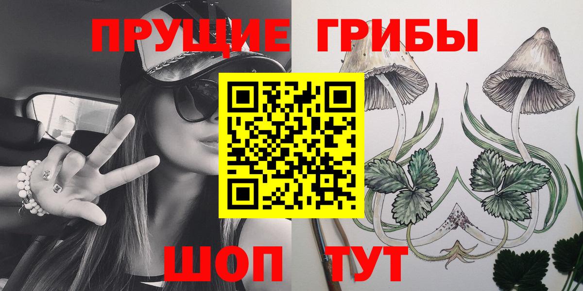 Видное  Галлюциногенные грибы Psilocybe  Вход с VPN 