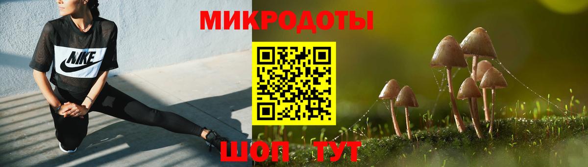 Галлюциногенные грибы Cubensis Видное